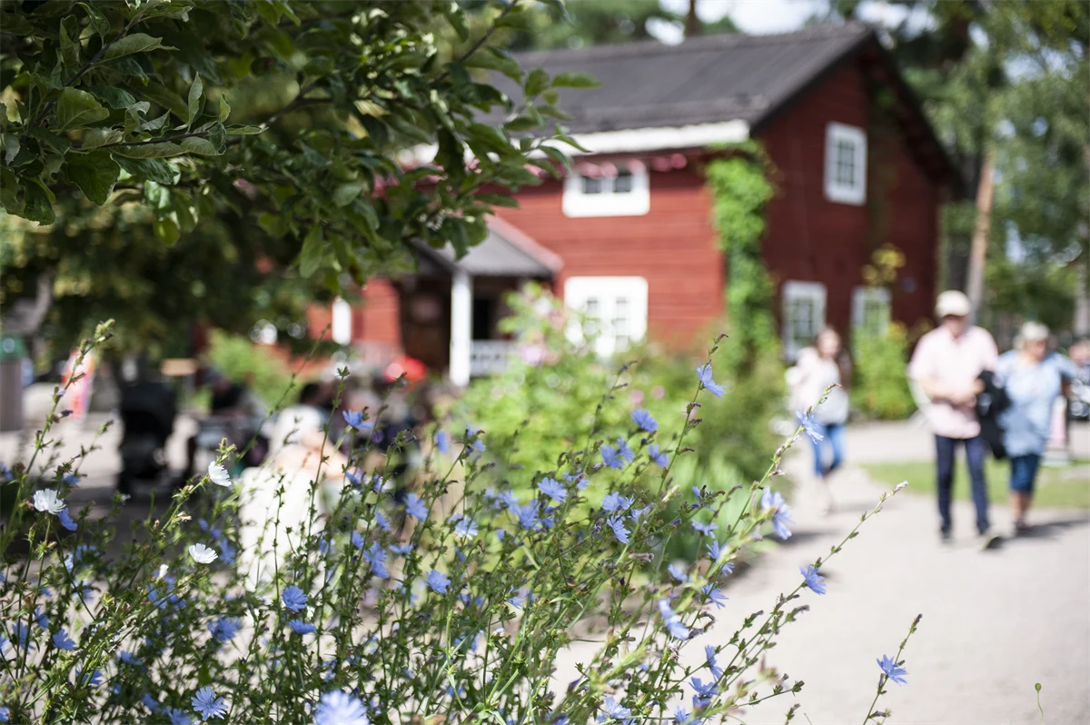 Trädgården vid Spikgården. 