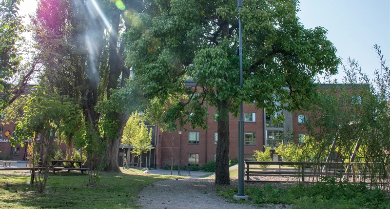 Förskolan Galaxen trädgård