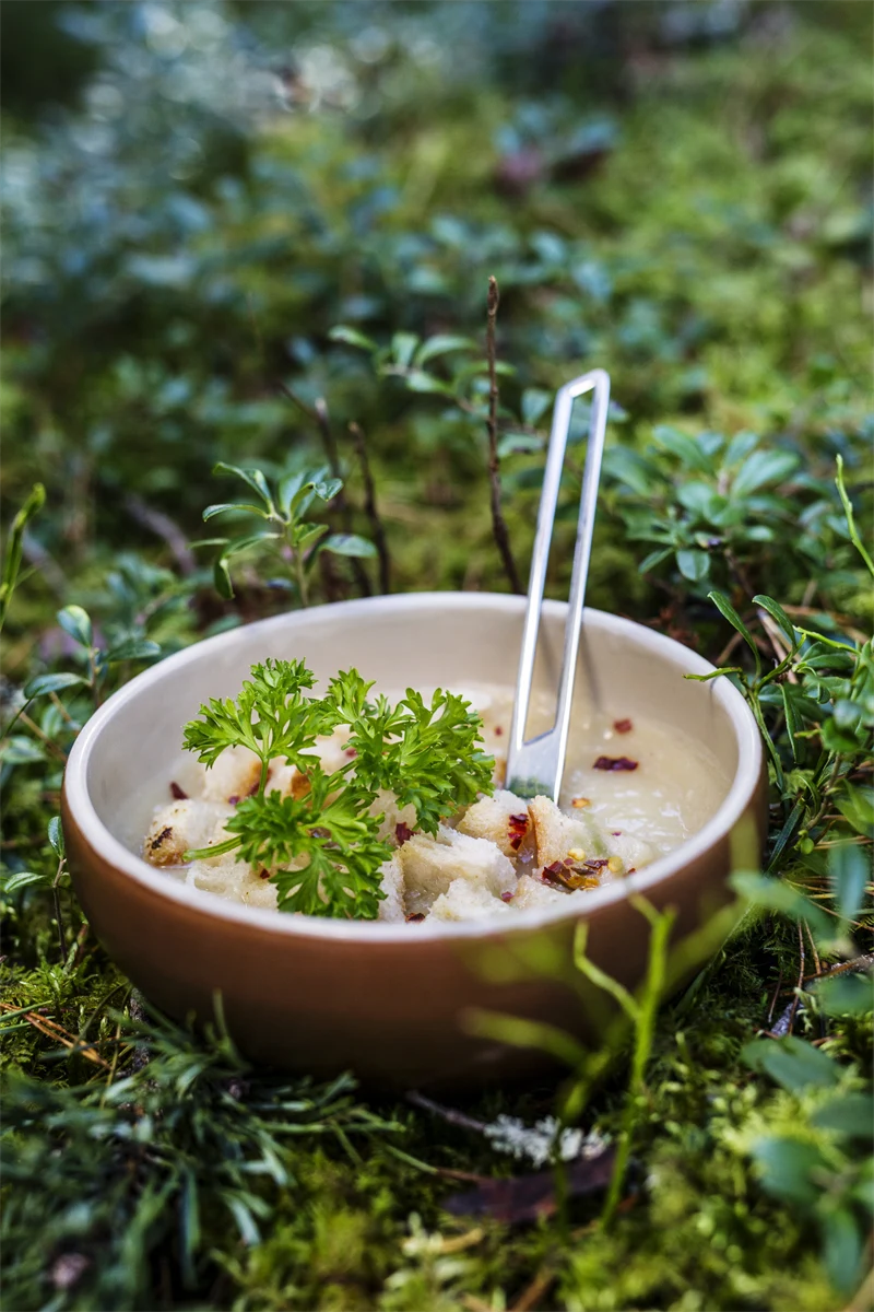 Soppskål utomhus i lingonriset. 