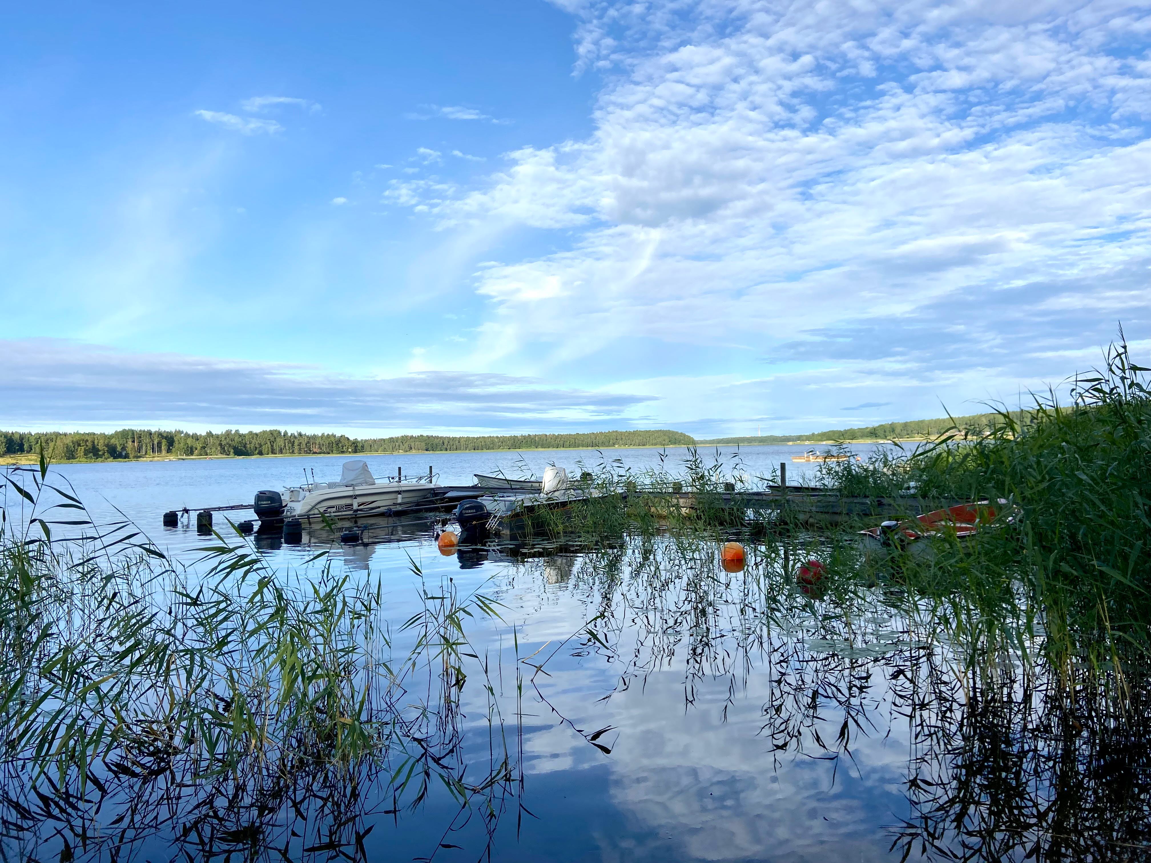 Liten brygga med båtar, blå himmel och blått vatten. Grönskande land på håll. 