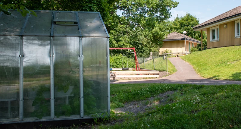 Mjölnartorpets förskola växthus