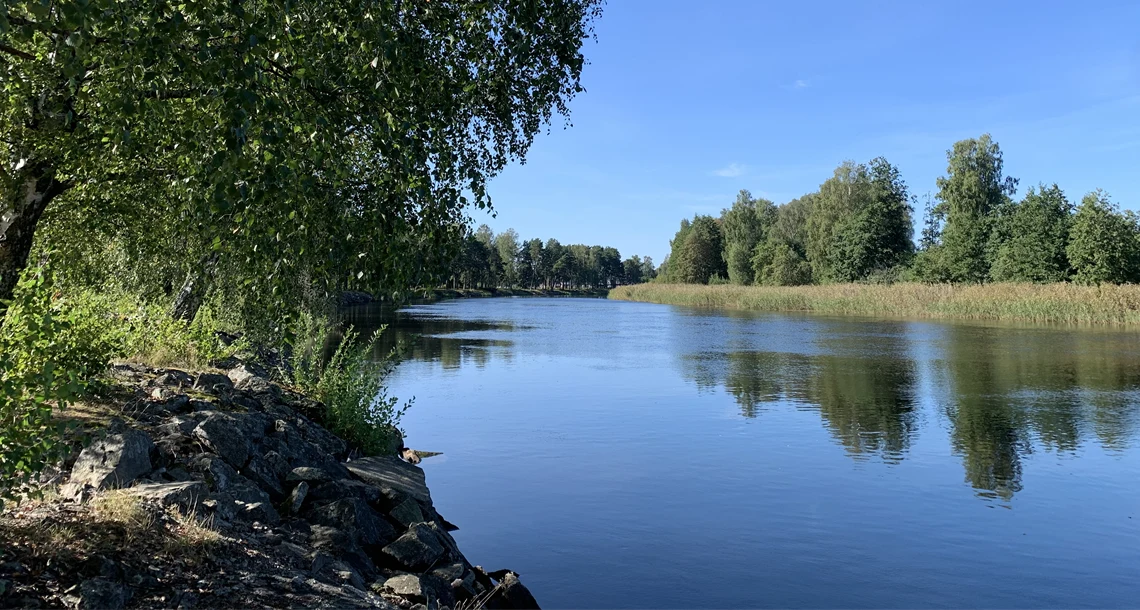 Stillastående älv med spegling av himmel och grönska