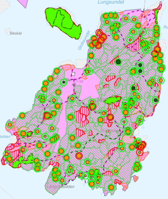 Status granbarkborre Jäverön 2021-07-21
