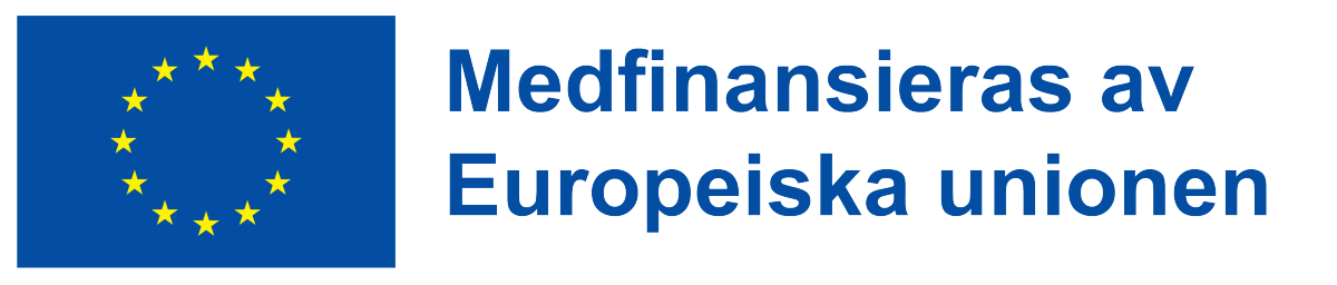 Europeiska unionens logotyp
