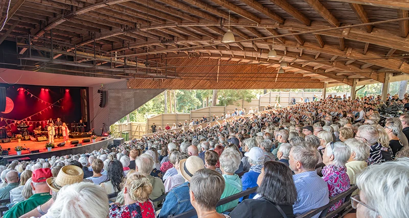 Sittande publik tittar på en konsert