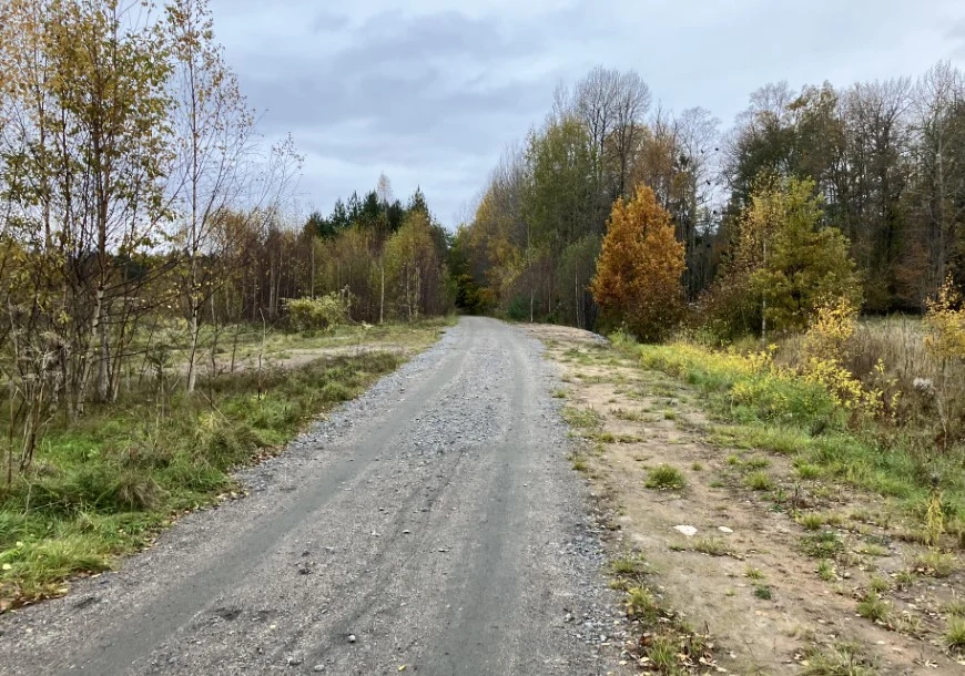 Bild på grusväg mellan Välsviken och Alster