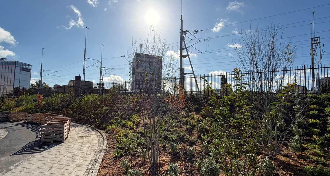 Nyplanterad grön yta med buskar, perenner och unga träd längs en svängd gångväg. I bakgrunden syns järnvägsspår, kontaktledningar och stadsmiljö under en klarblå himmel med starkt solljus.
