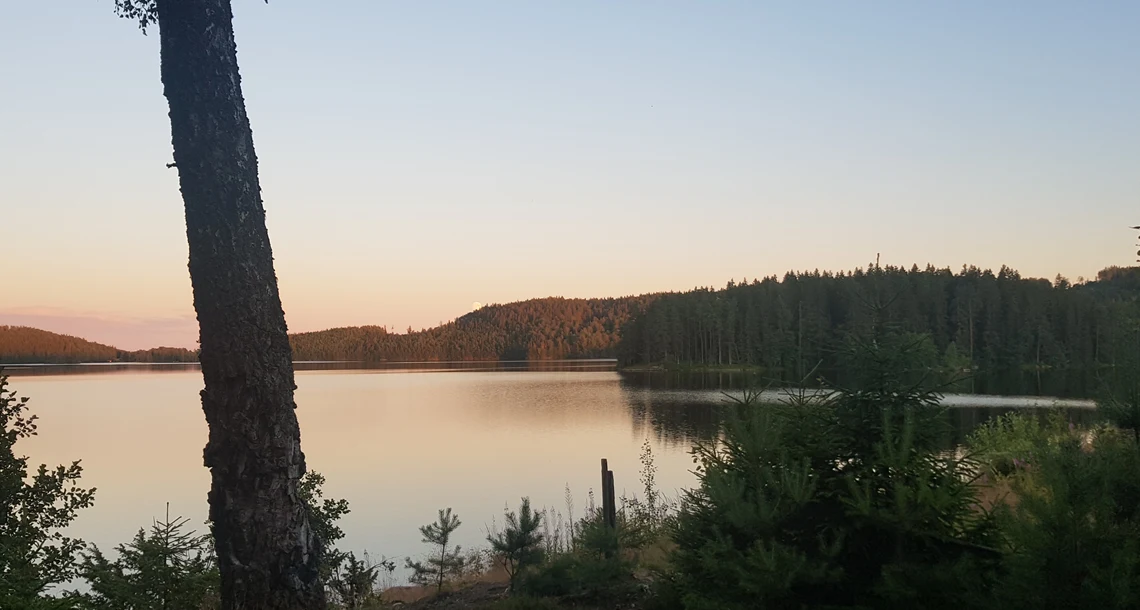 Solnedgång över en sjö med skog i förgrunden