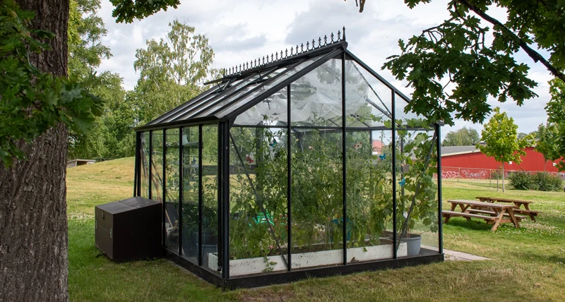 Gruvlyckans förskola växthus