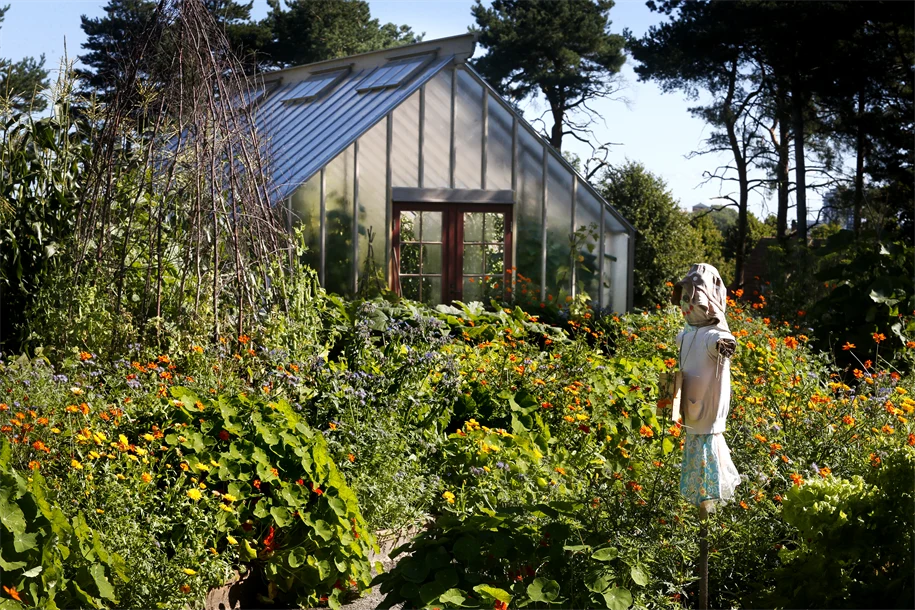 Barnens köksträdgård