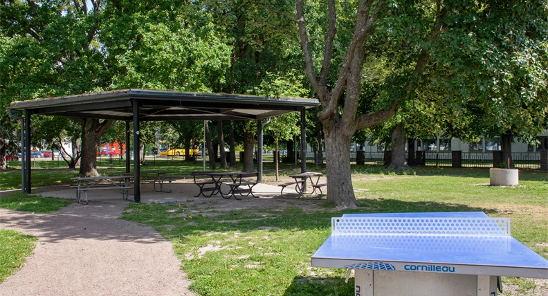 Västerstrandsskolan grönområde