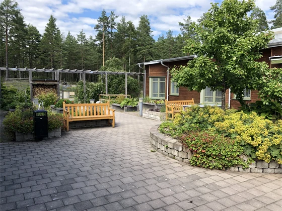 En lummig innergård med stenläggning och två bänkar