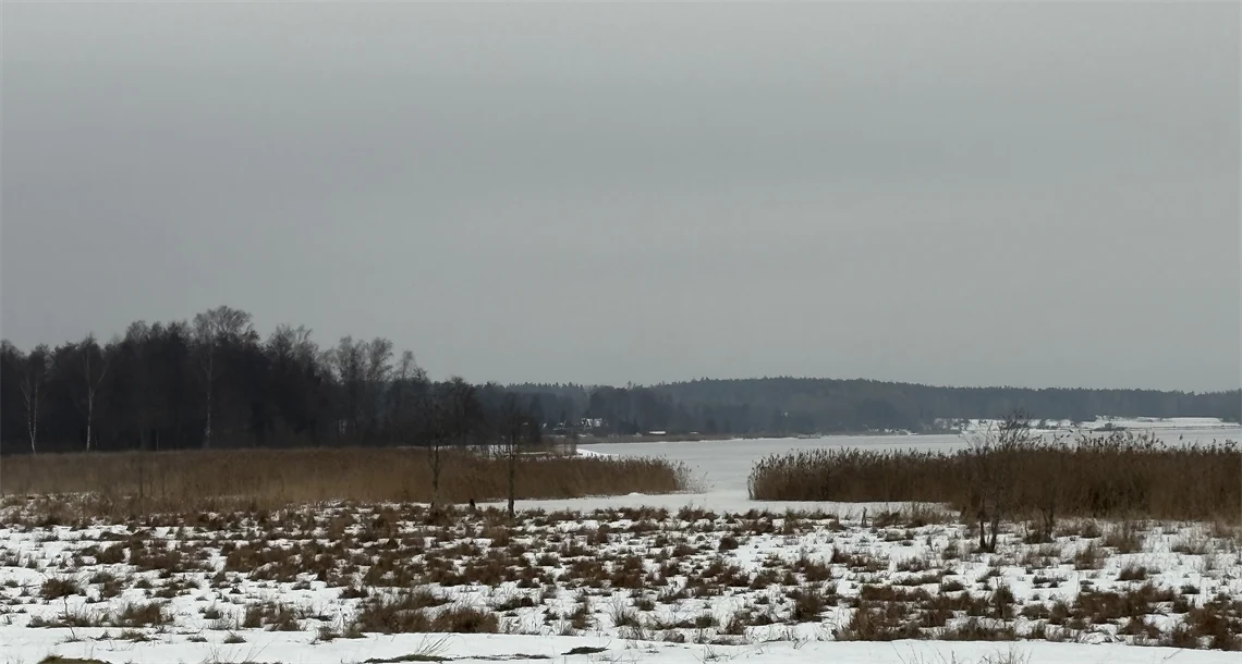 Utsikt över Skattkärrsviken