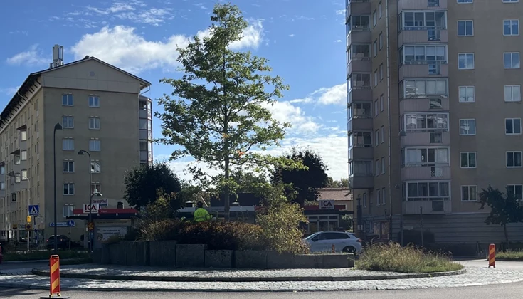 Byggarbete i rondell med ett stort träd, lägenhetshus vid sidan av rondell