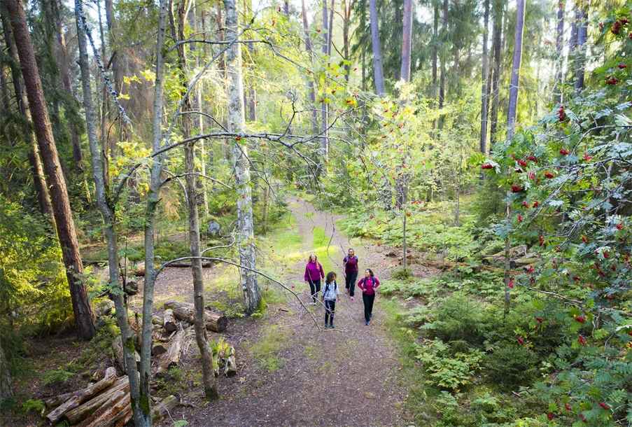 Barn och vuxna på naturguidning på Mariebergs strandängar.