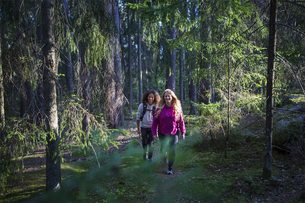 Två personer går i skogen.