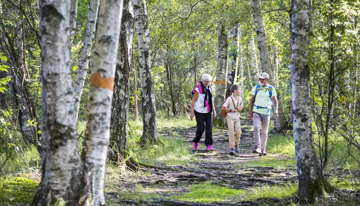 Tre personer på skogspromenad. 