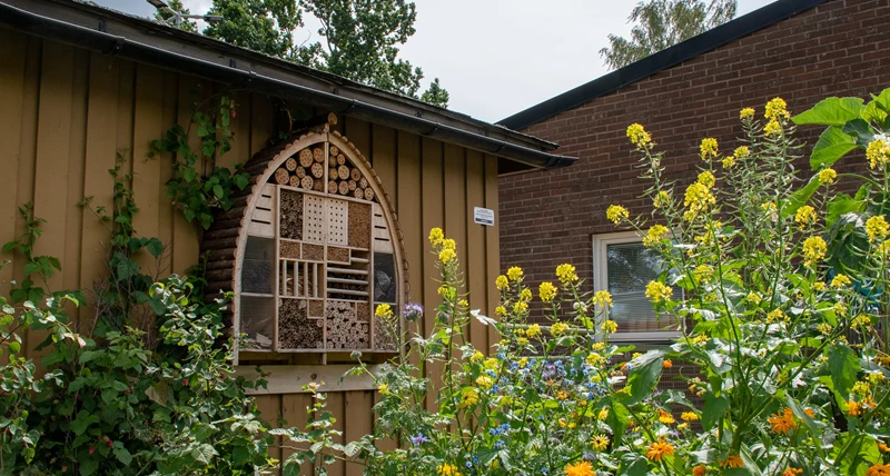 Gruvlyckans förskola insektshotell