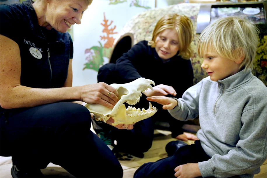 Guidning i Naturum Värmland.