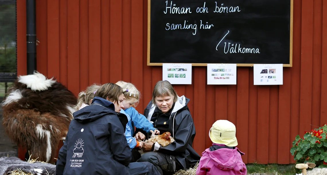 Förskolebarn lär sig om höns och ägg. 