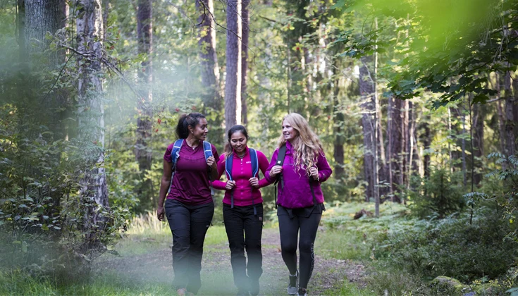 Tre kvinnor på promenad i skogen 