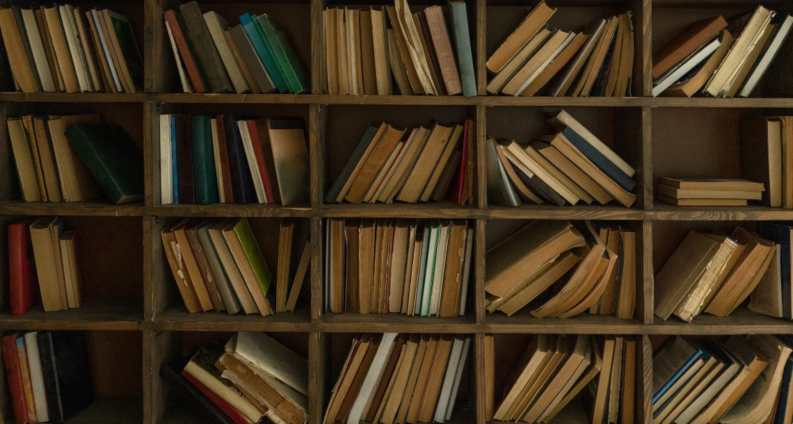 En bild på en bokhylla med bokryggar