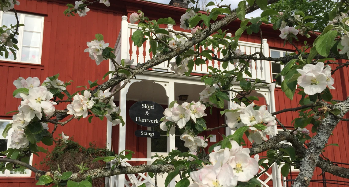 {"X":0.18,"Y":0.0,"Width":0.75,"Height":1.0}