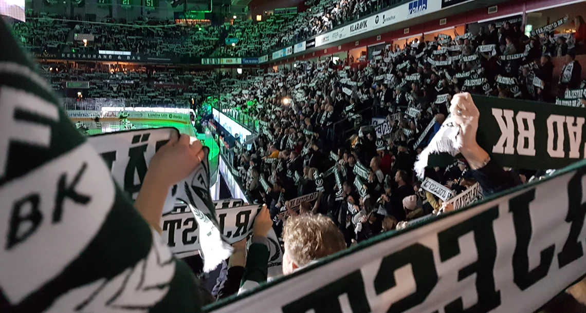 Publik på hockeymatch