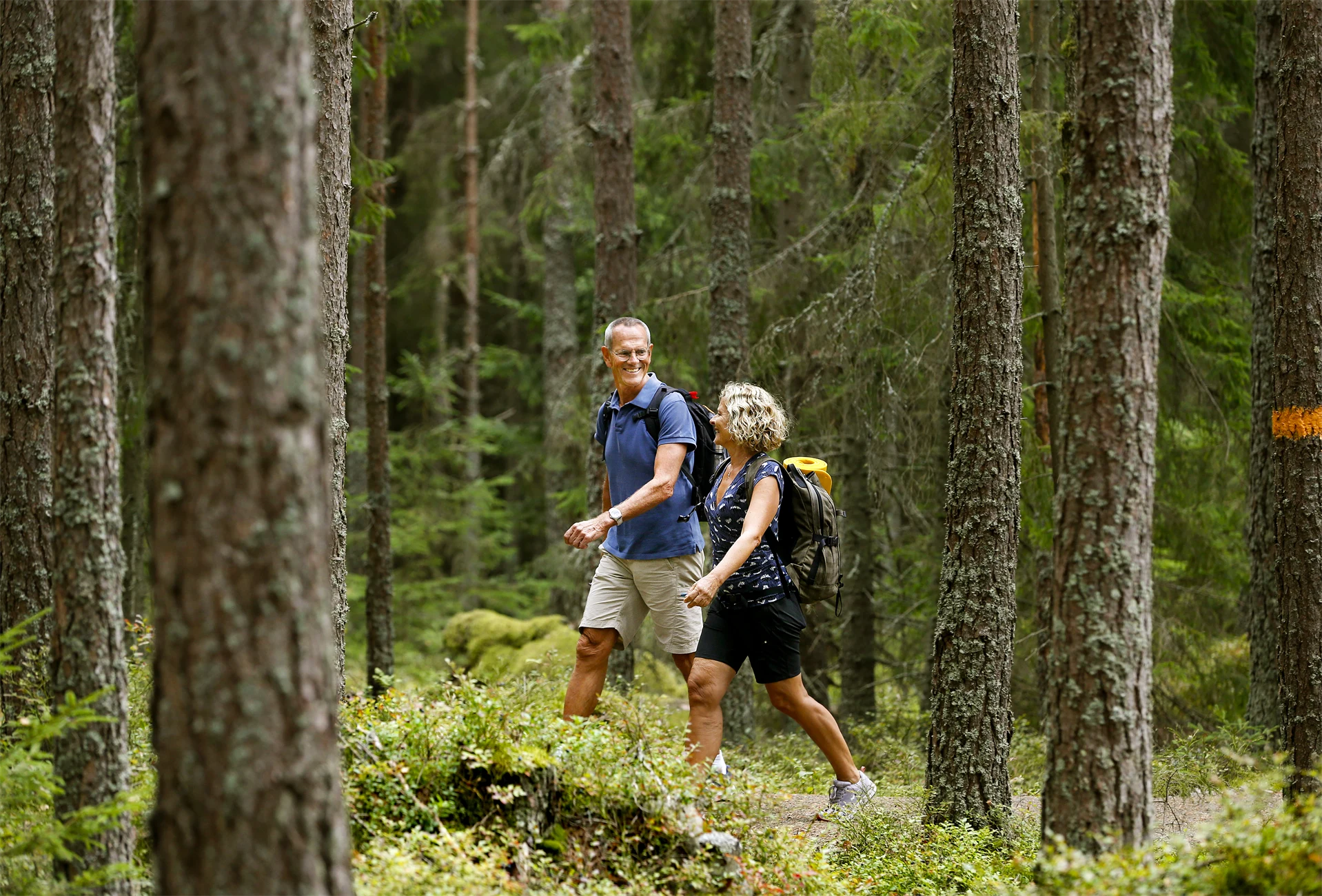 En man och en kvinna vandrar i skogen på Jäverön.