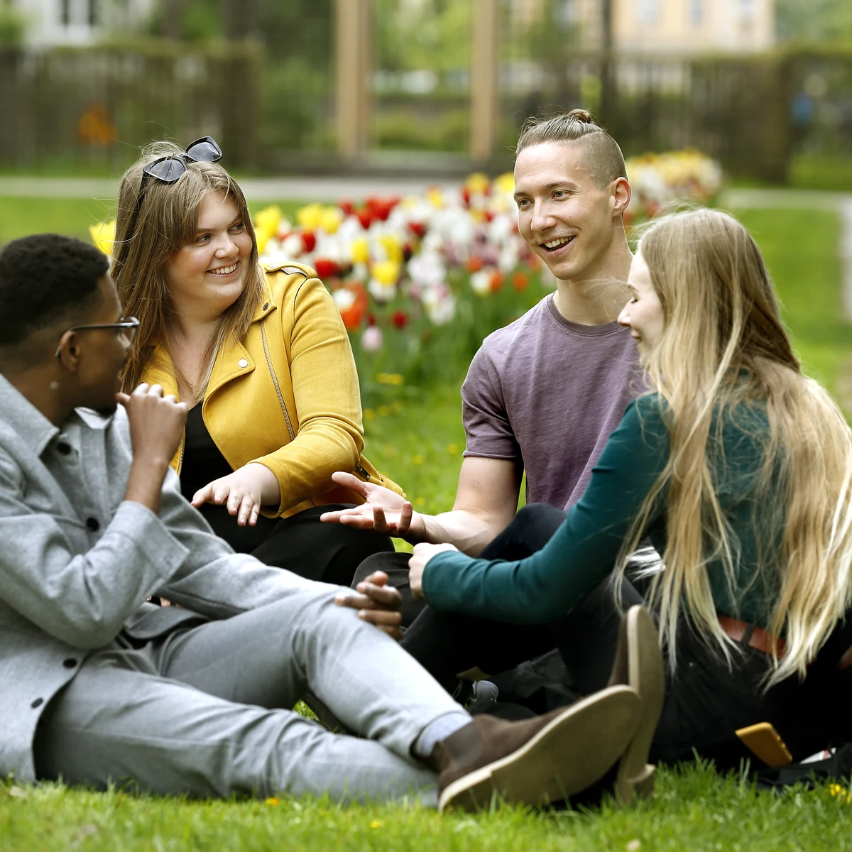 Fyra studenter sitter i gröngräset.