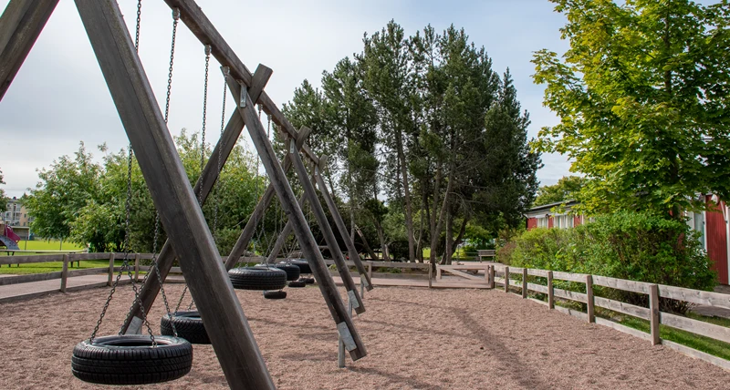 Plintens förskola gungor