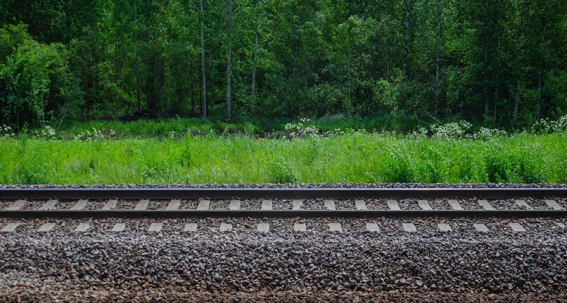 Ett järnvägsspår. Man ser banvallen och i bakgrunden skog