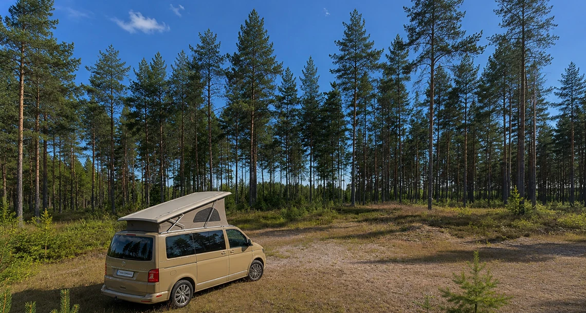 En campingbil står i en skogsglänta omgiven av höga tallar.