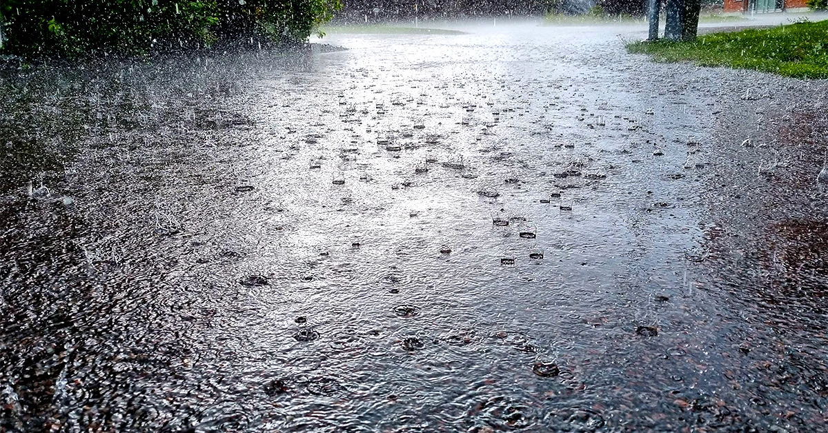 Kraftigt regn mot asfaltsväg