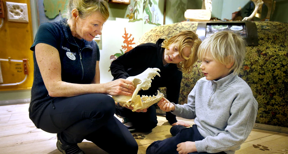 Upptäcker Naturum Värmland 
