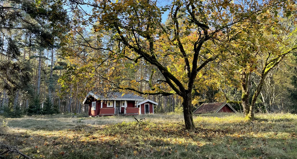 Liten röd stuga men vita knutar.