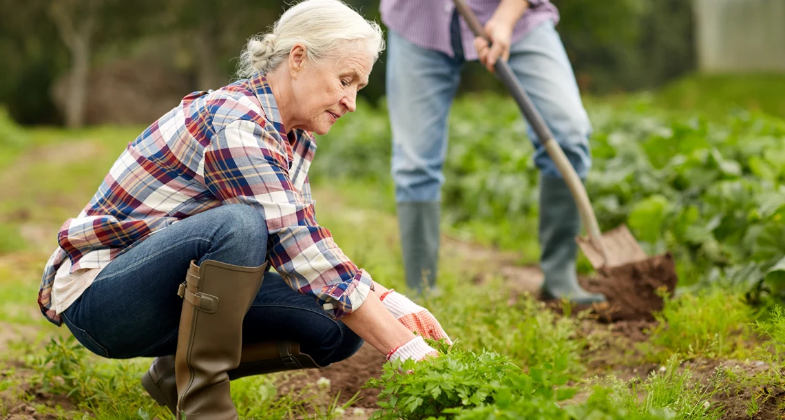 stadssiluett grafisk