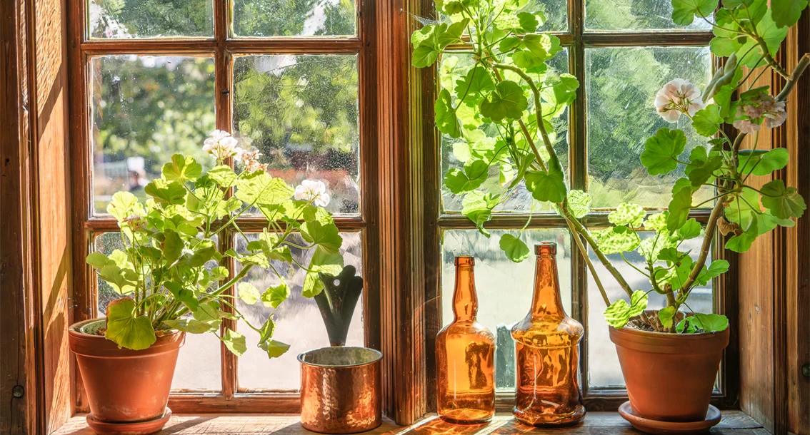 Fönster i Spikgården. 