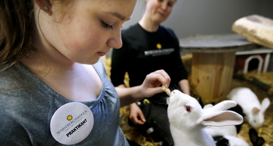 Praktikant i Lillskogen 