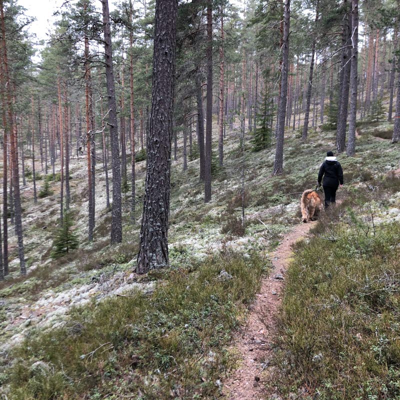 Person med hund går längs en sluttning