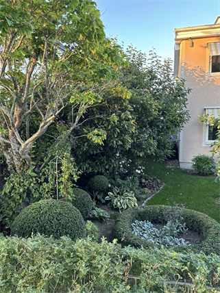 grönskande trädgård