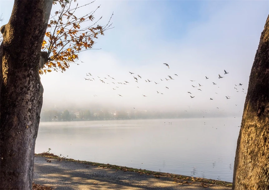 stadssiluett grafisk