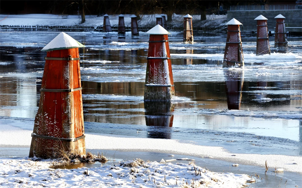 Dykdalbar i vintrig Klarälven