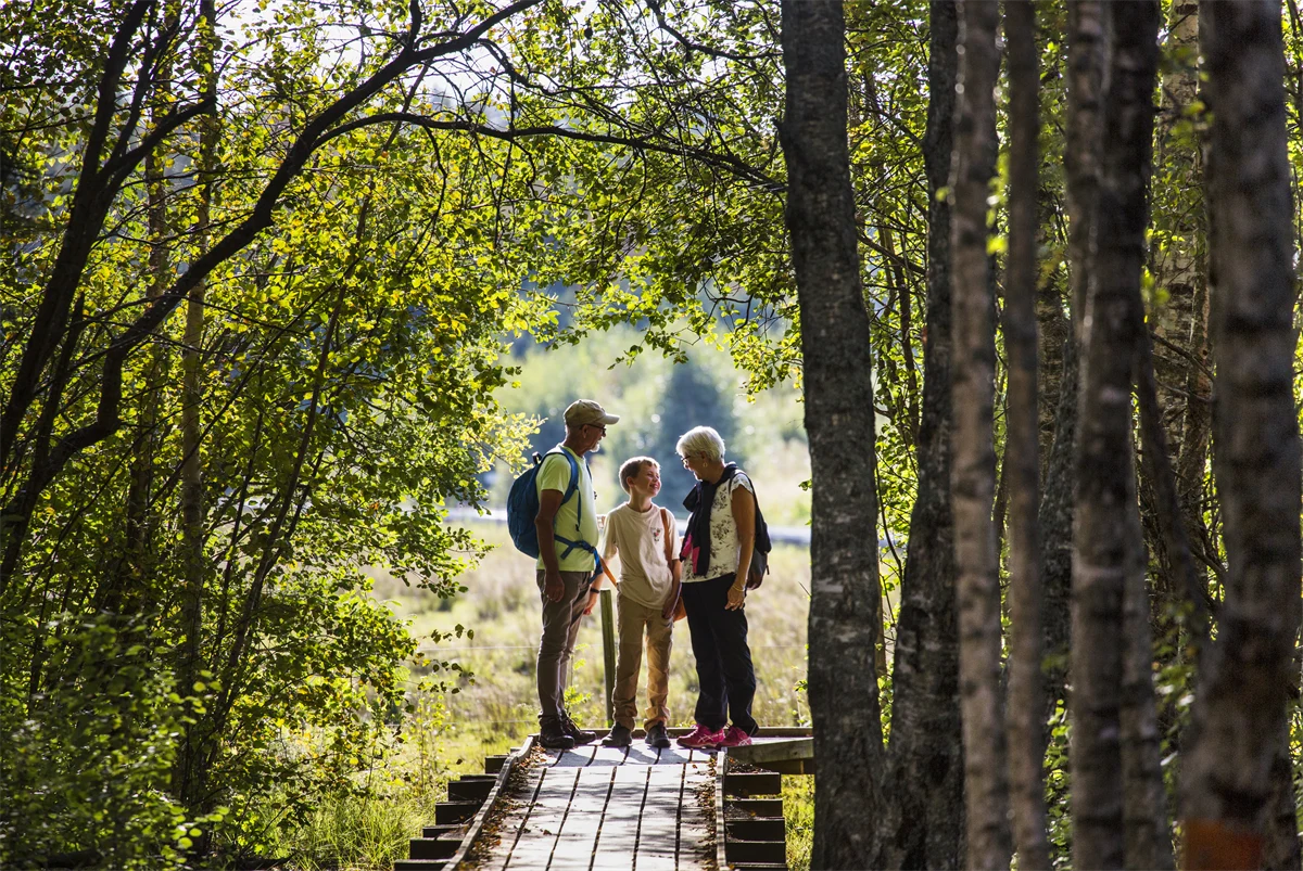 Två vuxna och barn i skogen.