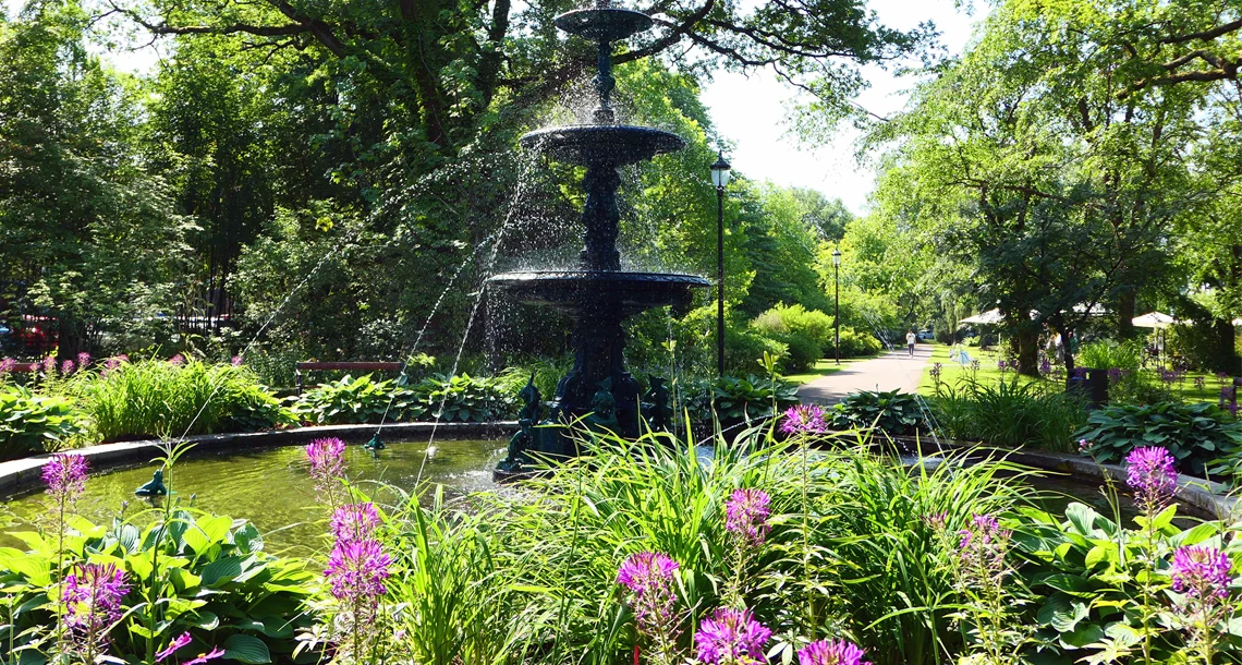 Bild på fontänen i Stadsträdgården med blommor runt om