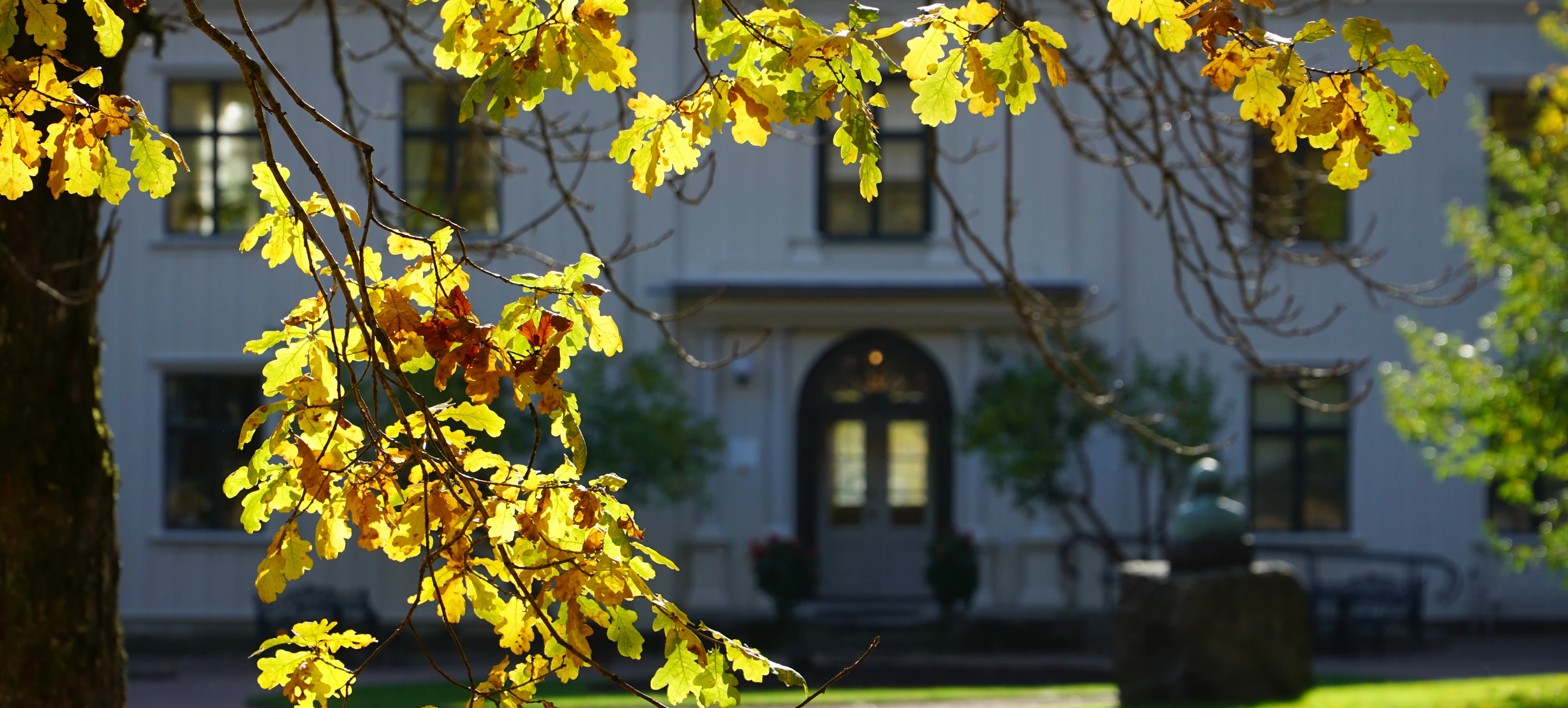 Höstlöv i motljus framför Alsters herrgårds vita huvudbyggnad