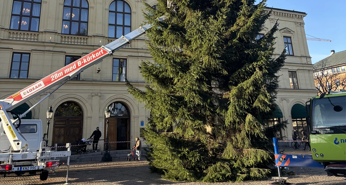 En gran med en kran brevid