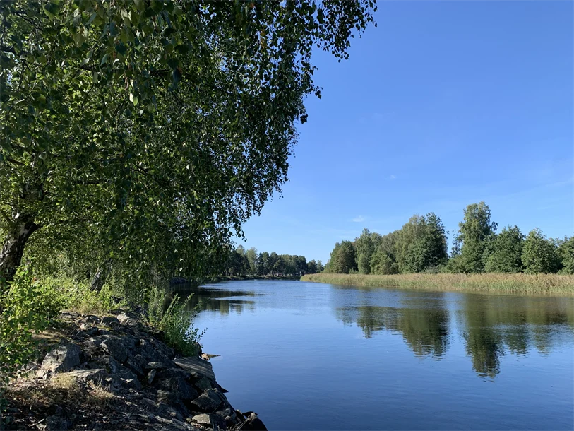 Stillastående älv med spegling av himmel och grönska