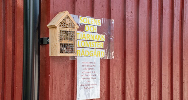 Förskolan Kronoparken 1 insektshotell