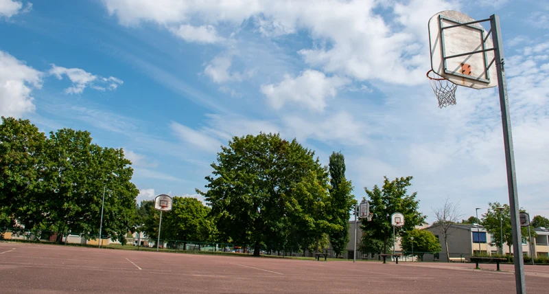 Rudsskolan basket